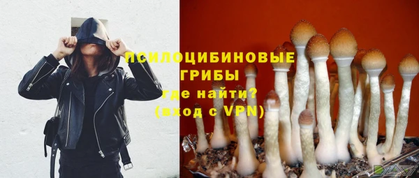 метадон Ладушкин