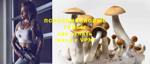 метадон Ладушкин