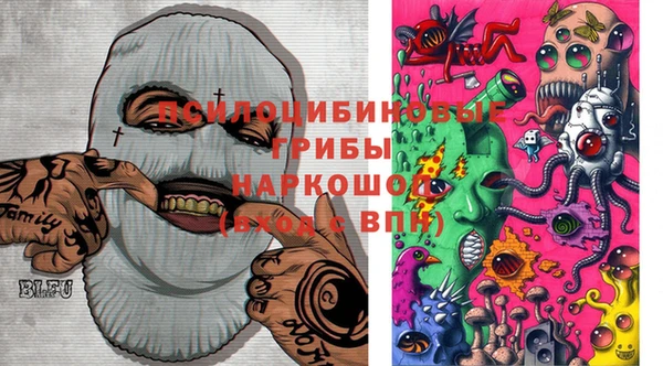 метадон Ладушкин