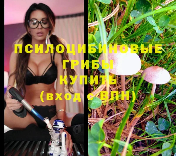 метадон Ладушкин